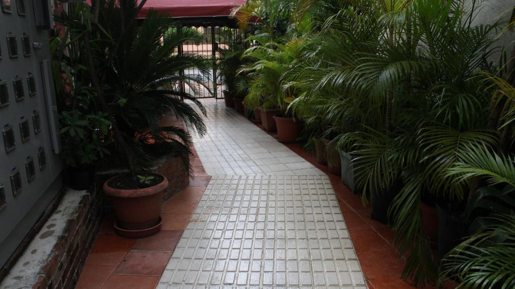 Hostal Plaza Yu Santo Domingo Exteriér fotografie